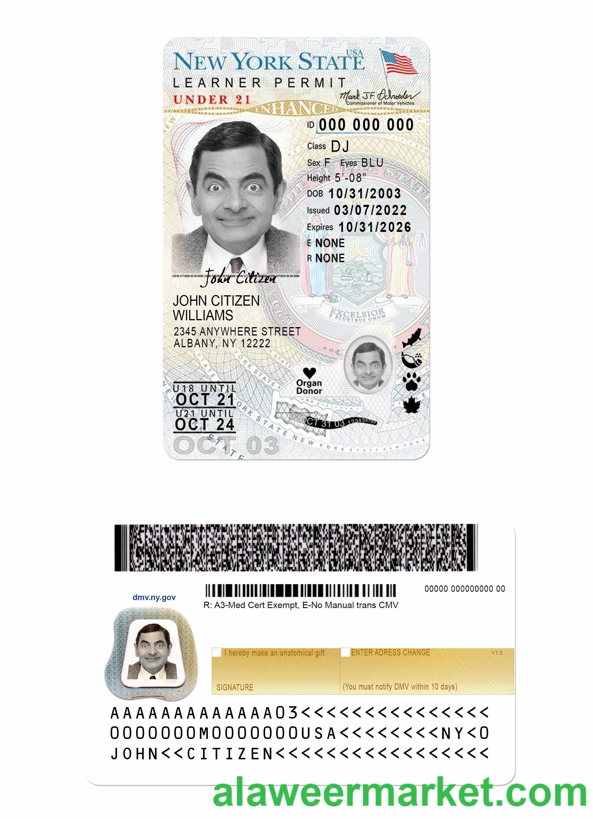 USA New York driving license under 21 (version 2)